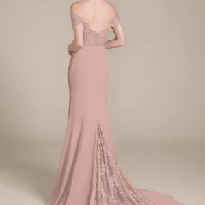 Robe Sirène Rose Poudré À Dentelle
