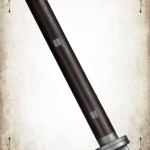 Ninja II, l'Apprenti des Ombres