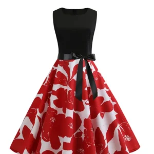 Robe Style Année 60 Grande Taille