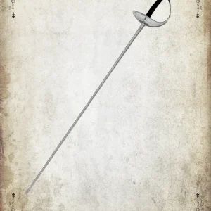 Sabre de combat Stage